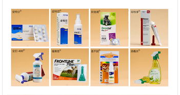 高效提升寵物用品銷量的關(guān)聯(lián)銷售策略與設(shè)計(jì)素材應(yīng)用指南