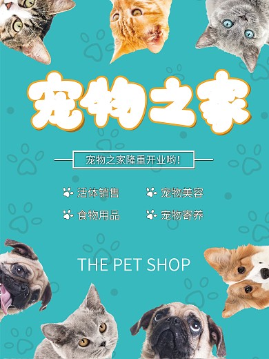 《寵物之家圖片 不僅僅是展示，更是溫暖的視覺共鳴與用品銷售策略》